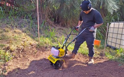Finding the Way Forward: Lucky’s Journey with Hoʻokele Loea